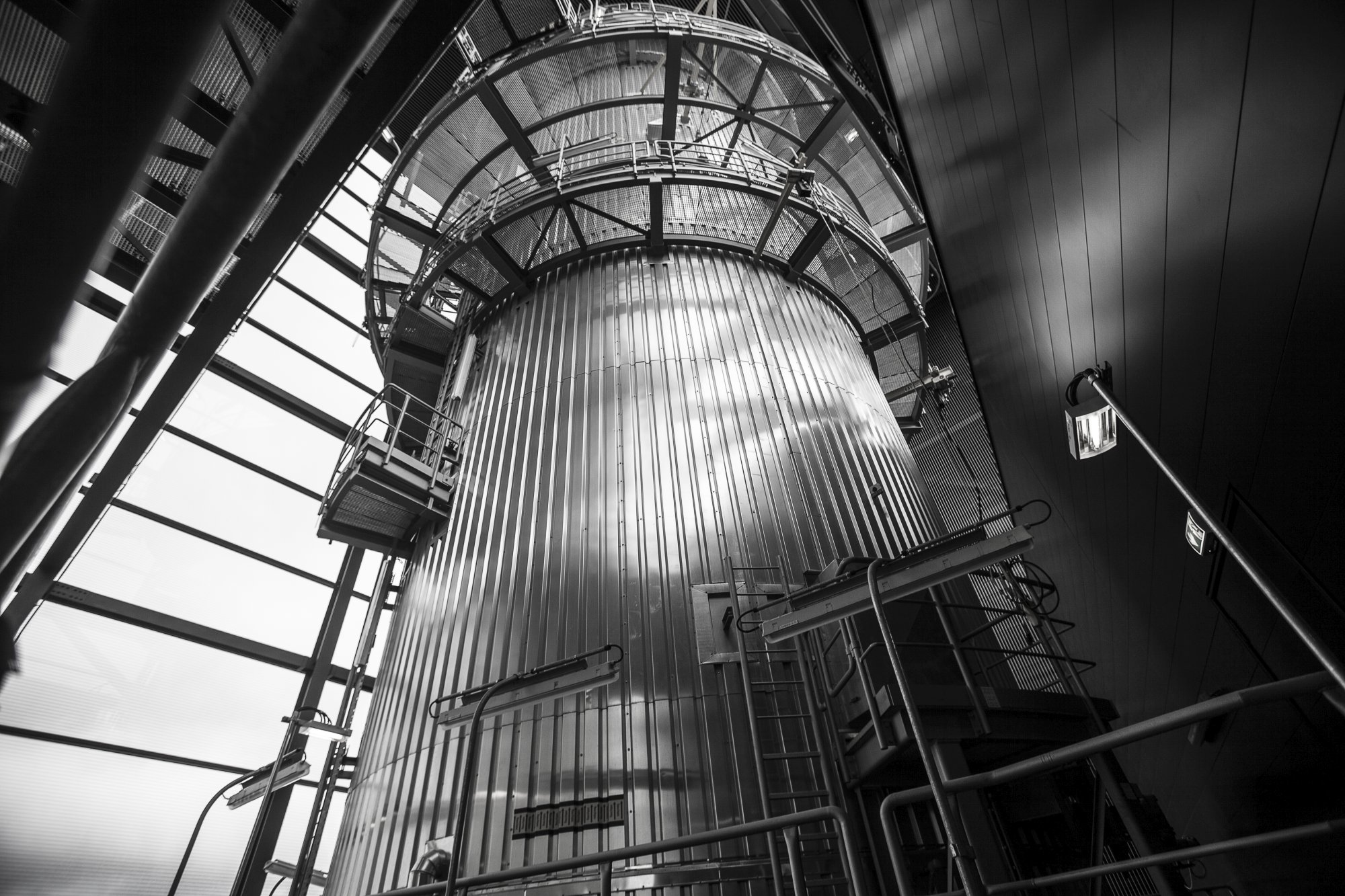 _MG_7303sw